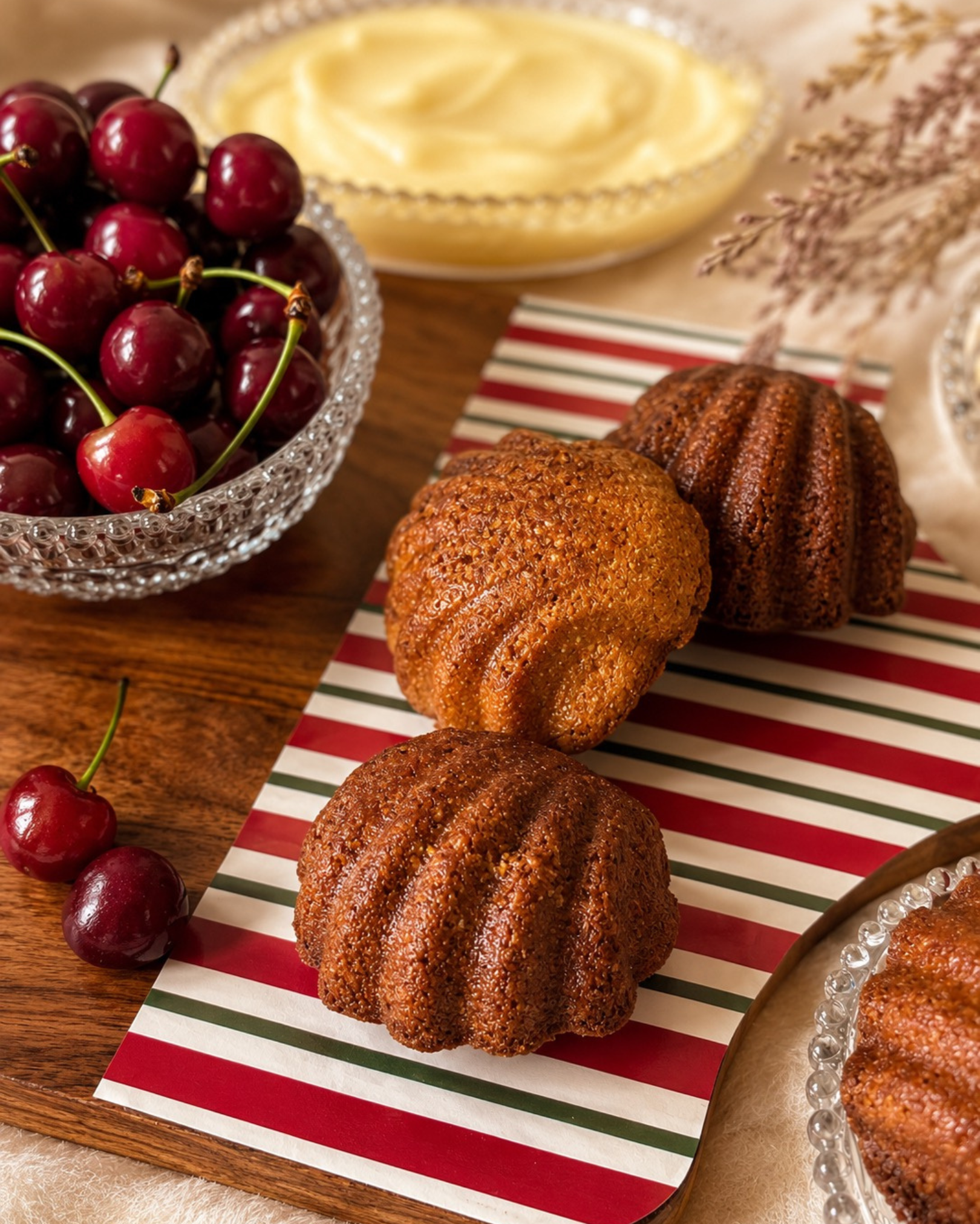 Saanjh financiers close up